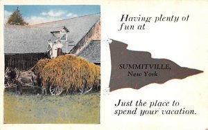 Greetings From Summitville, New York  