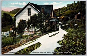 Vtg Kentucky KY Young Tobacco Plants Covered With Cheese Cloth 1910s Postcard