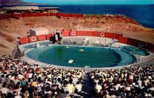 California Marineland Of The Pacific The Sea Arena 1965