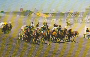 Canada Chuckwagon Races Calgary Stampede Calgary Alberta