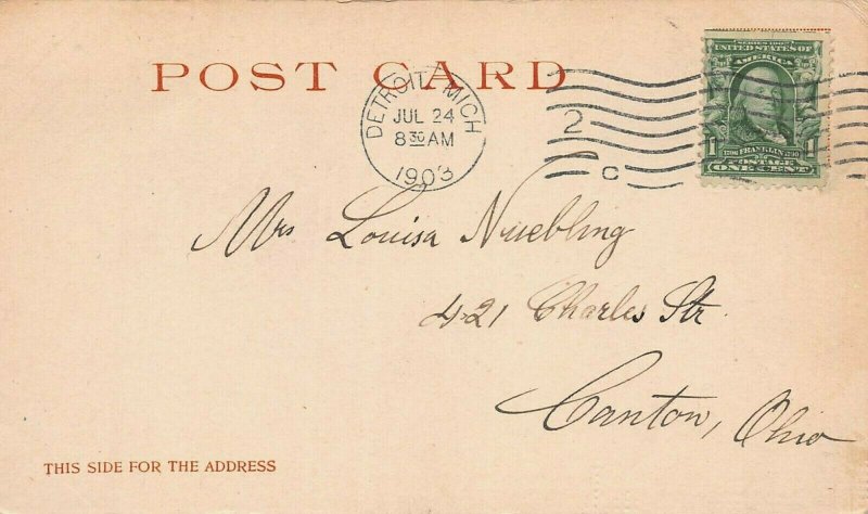 Central Ave., Belle Isle, Michigan,1903 Postcard, Detroit Photographic Co.