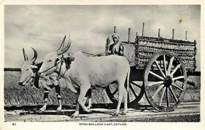 Ceylon, Open Bullock Cart, RPPC