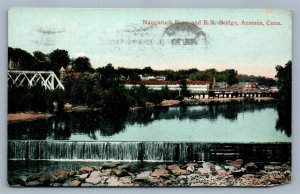 ANSONIA CT NAUGATUCK RIVER RAILROAD BRIDGE ANTIQUE POSTCARD