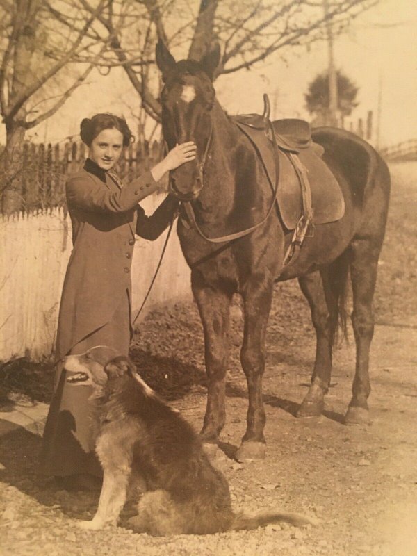 1900s Woman with  Horse and Dog RPPC Real Postcard Dress Sidesaddle AZO 