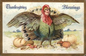 THANKSGIVING Little Boy Dressed as Turkey FANTASY c1910 Postcard