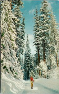 Winter Wonderland WA Man with Ski's Unused Smith's Scenic Views Postcard F46