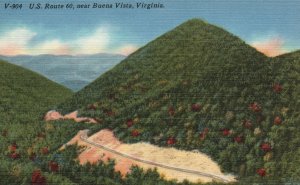 Vintage Postcard U.S. Route 60 Near Buena Vista Virginia Asheville Publishing VA