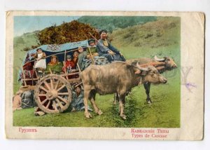 299588 RUSSIA CAUCASUS TYPE Georgian bullock-cart Vintage Granberg postcard
