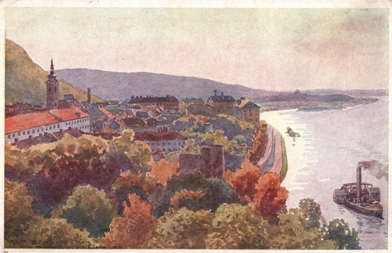 VINTAGE POSTCARD PANORAMA VIEW OF THE DANUBE STEAMSHIP COMPANY HAINBURG SLOVAKIA