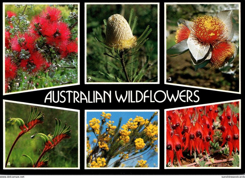 Australia National Wild Flowers Of Australia 1989