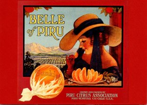 Old Citrus Label On Postcard Belle Of Piru The Piru Citrus Assocaiation