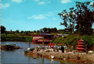 Singapore Jurong Bird Park