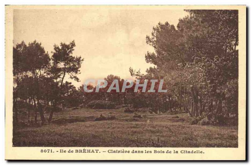Old Postcard Island Brehat in Glade Woods Citadel