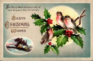 Christmas With Birds Sitting On Holly Branch