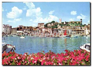 Modern Postcard Cannes Cote d'Azur Old Port and Suquet