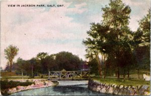 Postcard Ontario Galt View in Jackson Park Bridge Warwick Bros & Rutter 1907 K83