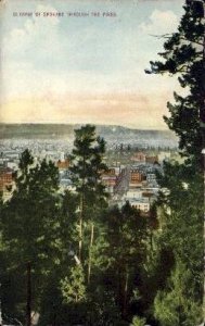 Spokane Through Pines - Washington