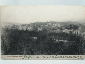 Cadnant Park Conway Wales Vintage Antique Postcard 1905