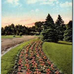 c1900s Omaha, NE Hanscom Park Geraniums Flower Postcard Neb Pelargonium A177