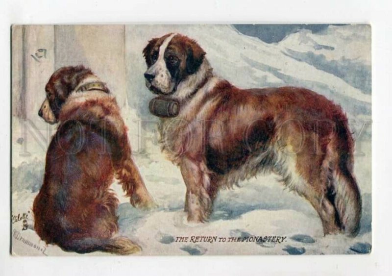 3112577 SAINT BERNARD Dogs Rescuers by DRUMMOND old TUCK #9381