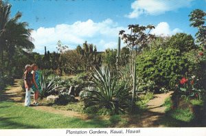 VINTAGE POSTCARD CONTINENTAL SIZE PLANTATION GARDENS AT KAUAI HAWAII 1970s