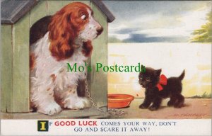 Animals Postcard - Dog in Kennel & Black Cat / Kitten, Artist D.Tempest RS36338