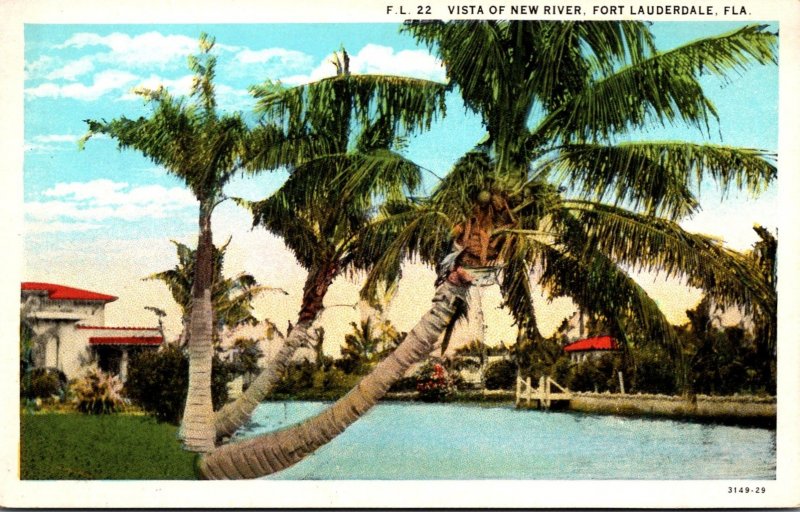 Florida Fort Lauderdale Vista Of New River Curteich