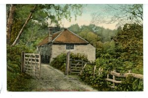 UK - England, Crowborough, Warren- the New Mill
