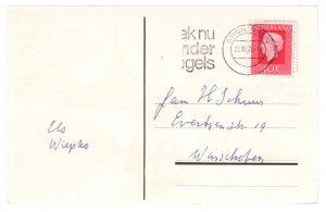 Gelukkig Nieuwjaar - Happy New Year