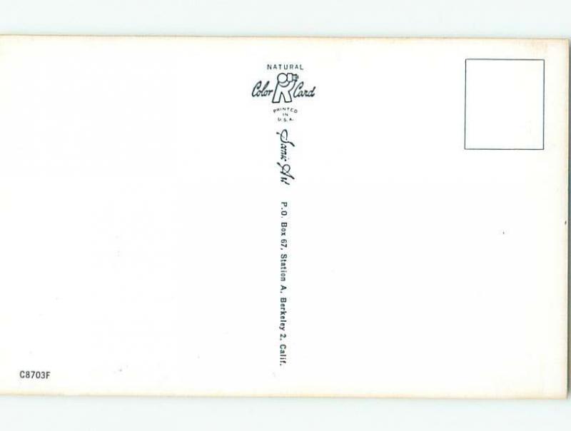 Pre-1980 Risque Comic BIKINI GIRL TOUCHES SUNBURN ON BACK AB7059@