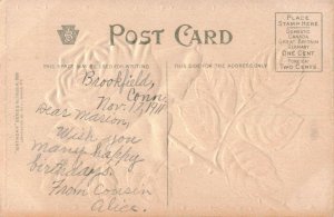 1912 Embossed Gel Stemmed Pink Rose Thorn Border Postcard 10c1-555