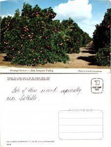 Orange Grove, San Joaquin Valley (11154)