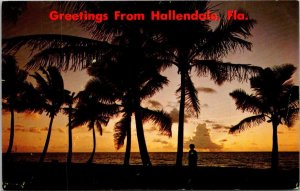 Florida Greetings From Hallandale 1969