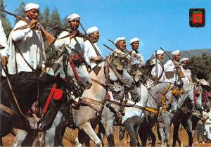 BT12919 cavalerie typique maroc horses chevaux           Morocco