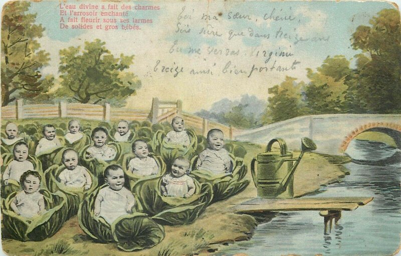 Multi new born babies cabbages fantasy vintage surrealism postcard