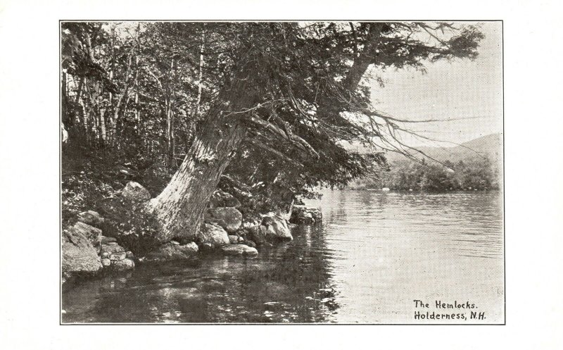 Vintage Postcard 1920's The Hemlocks Lake View Holderness New Hampshire NH