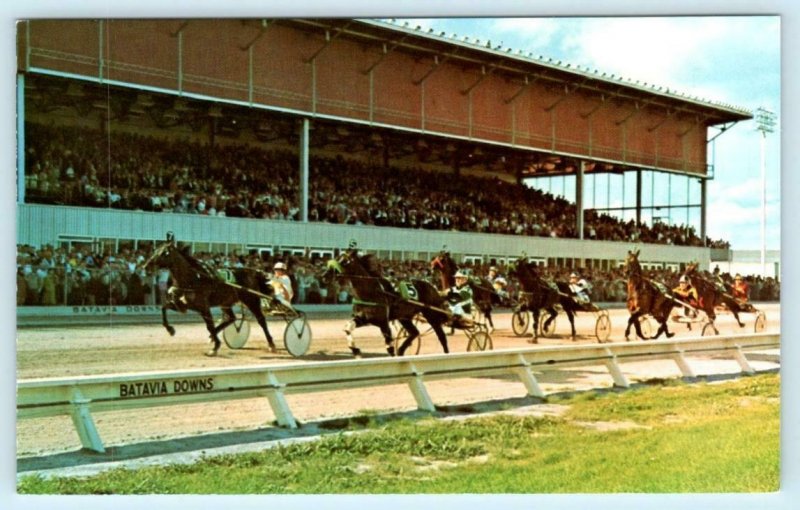 BATAVIA, New York NY ~ Harness Racing BATAVIA DOWNS Grandstand c1960s Postcard