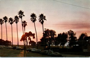 Sunset in La Jolla Cove and Scripps Park w Old Cars California Postcard