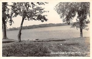 Dedse Lake Real Photo - Lone Lake, Michigan MI  