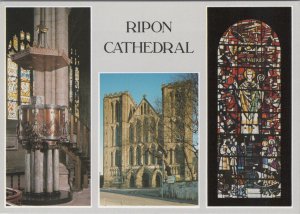 Yorkshire Postcard - Ripon Cathedral, St Wilfrid Window, The Pulpit RRR1399