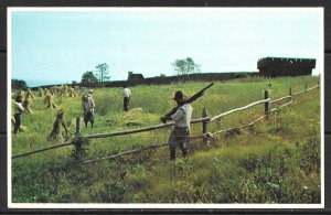 Massachusetts, Plymouth - Plimoth Plantation - [MA-136]