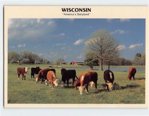 Postcard America's Dairyland, Wisconsin