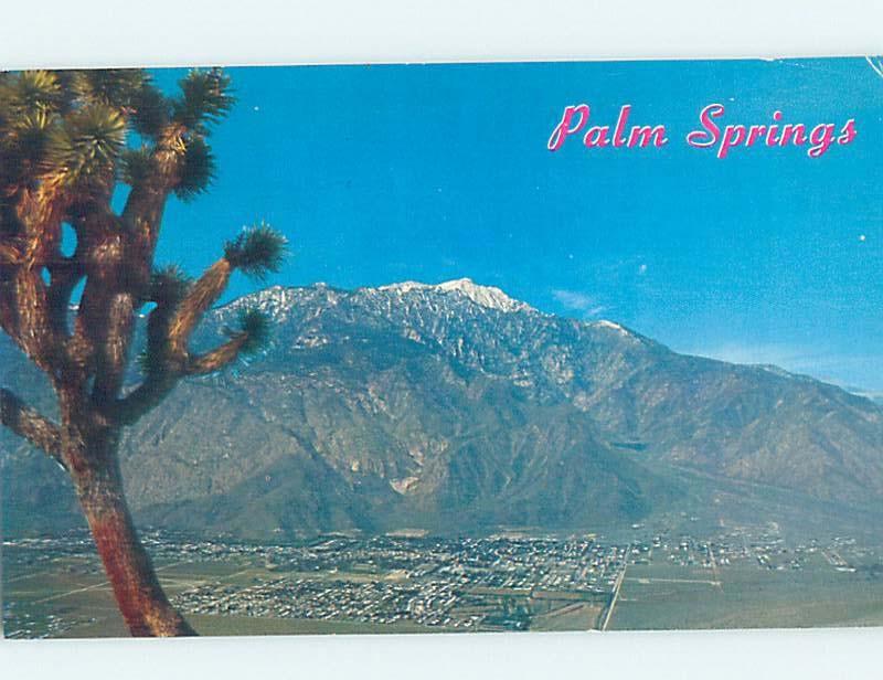 Pre-1980 PANORAMIC VIEW Palm Springs - Near Anaheim & Los Angeles CA i0777