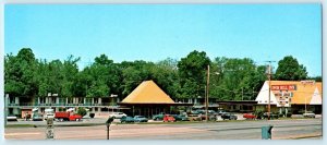 NEWARK, Delaware DE ~ Roadside IRON HILL INN Motel  c1960s Long Postcard