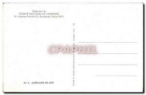 Modern Postcard Sea Anemone