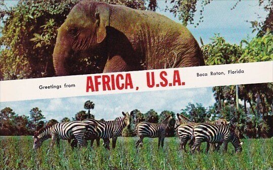 Greetings From Africa U S A Boca Raton Florida