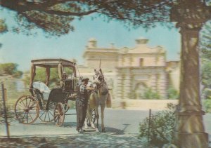 Maltese Cab Taxi Horse 3D Three Dimensional Old Malta Postcard