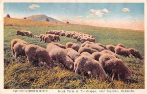 Tsukisappu Sapporo Hokkaido Japan Sheep Ranch Stock Farm Postcard AA44154