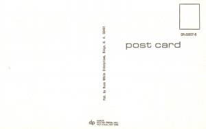 Vintage Postcard Lettering Greeting Hogback Mountain Marlboro Vermont Greenfield