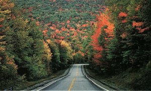 VINTAGE WHITE MOUNTAINS NH KANCAMAGUS HIGHWAY FALL CHUCK THEODORE POSTCARD P1547